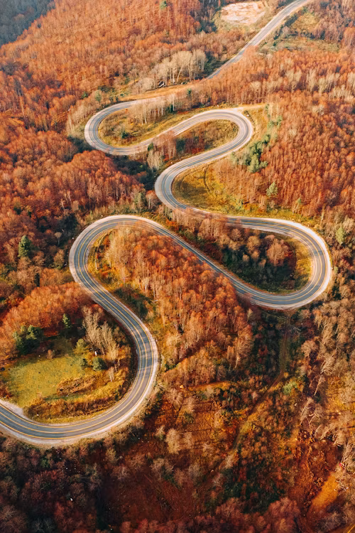 Every Day is a Winding Road… And I’m Going Too Fast (Personal Update)