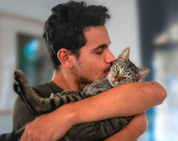 A Good Widdle Pet Peeve